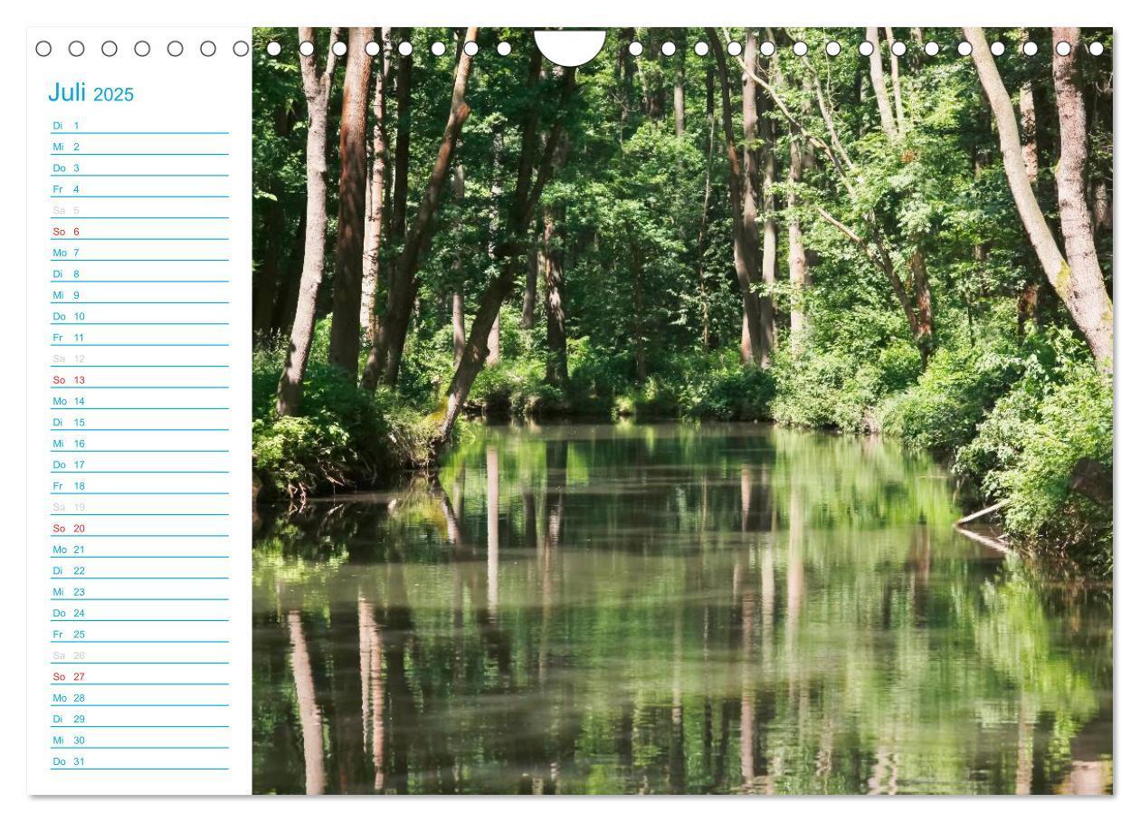 Bild: 9783435515271 | Wunderschöner Spreewald (Wandkalender 2025 DIN A4 quer), CALVENDO...