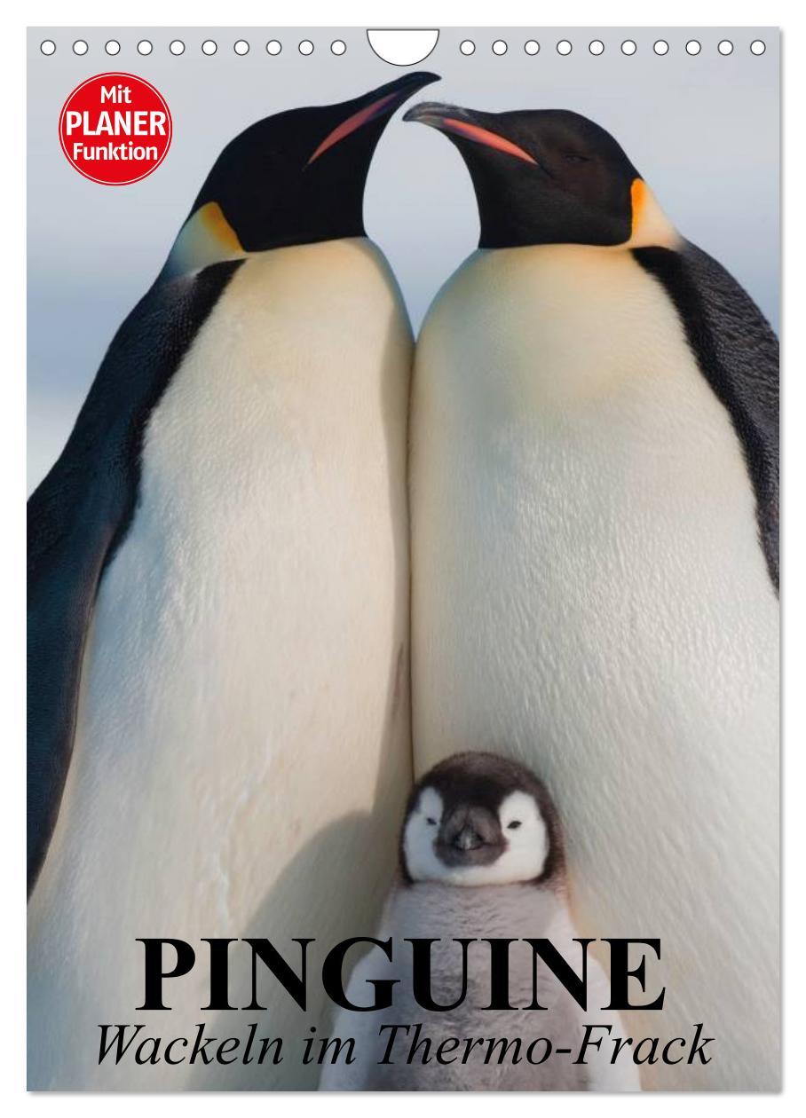 Cover: 9783457018637 | Pinguine. Wackeln im Thermo-Frack (Wandkalender 2025 DIN A4 hoch),...