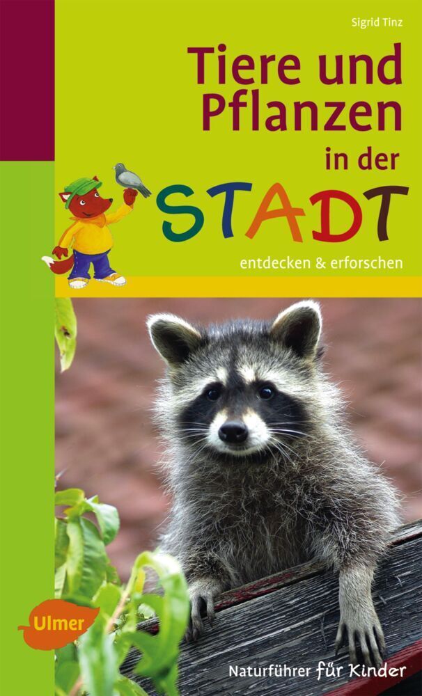 Cover: 9783800183562 | Tiere und Pflanzen in der Stadt | Entdecken & erforschen | Sigrid Tinz