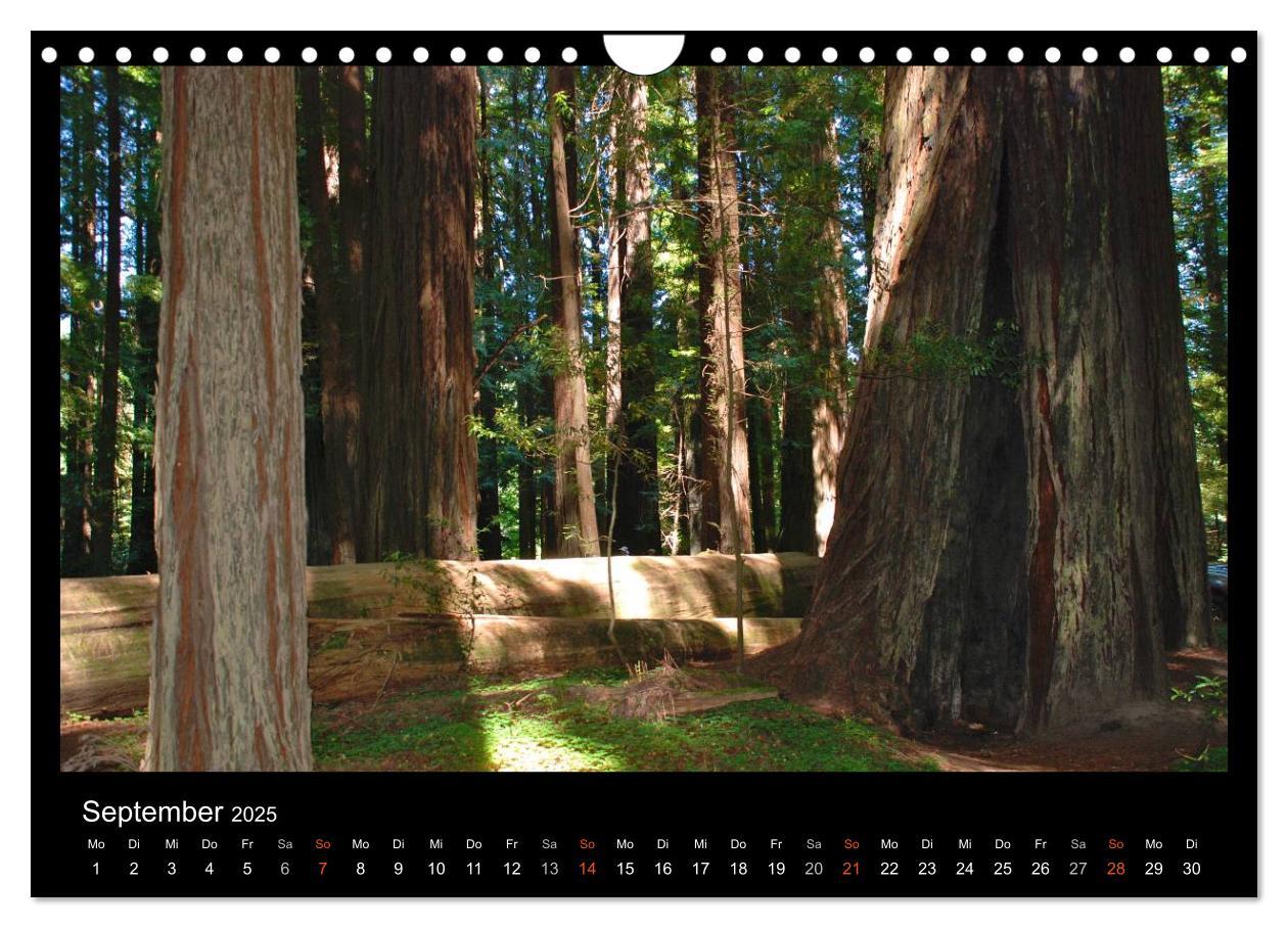 Bild: 9783435741960 | USA - Nordwesten (Wandkalender 2025 DIN A4 quer), CALVENDO...