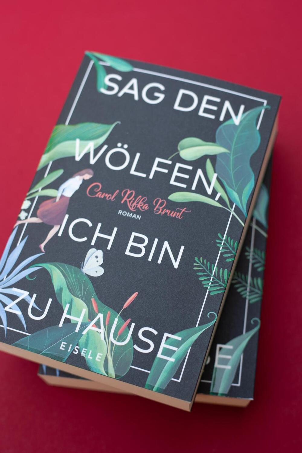 Bild: 9783961610563 | Sag den Wölfen, ich bin zu Hause | Roman | Carol Rifka Brunt | Buch