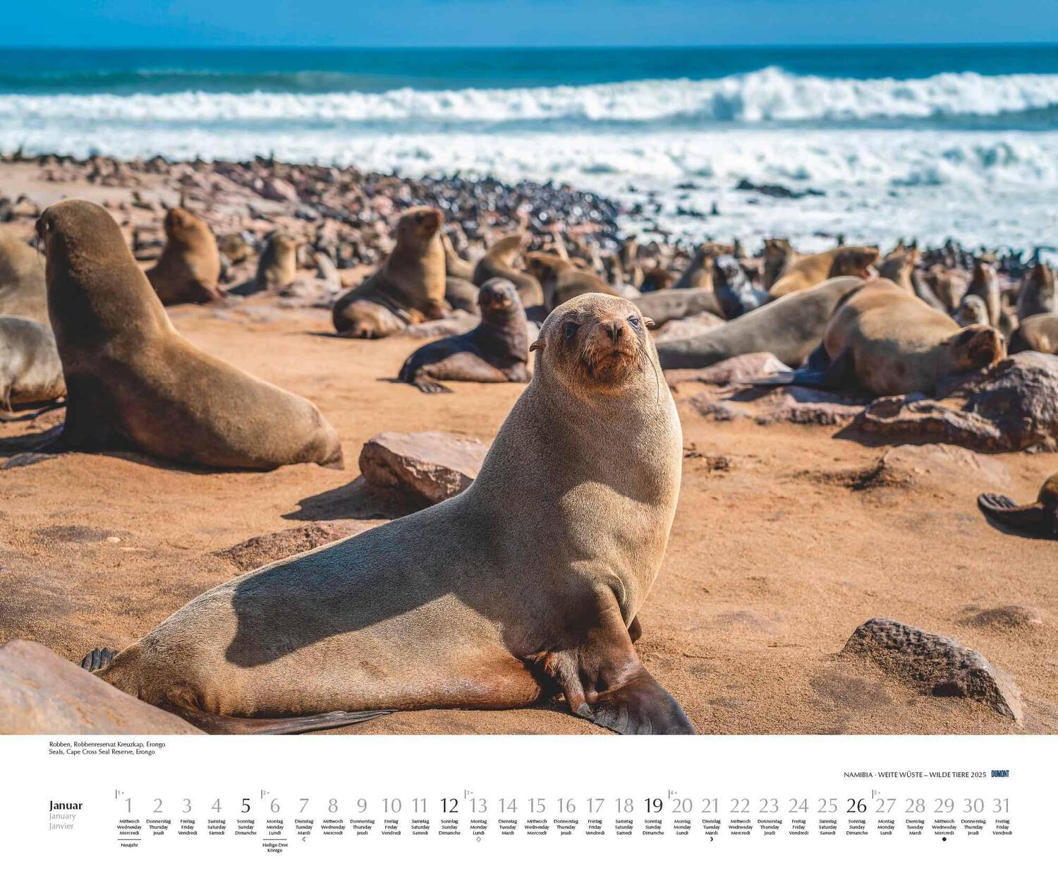 Bild: 4250809653761 | Namibia 2025 - Foto-Kalender - Poster-Kalender - 60x50 - Wildnis -...