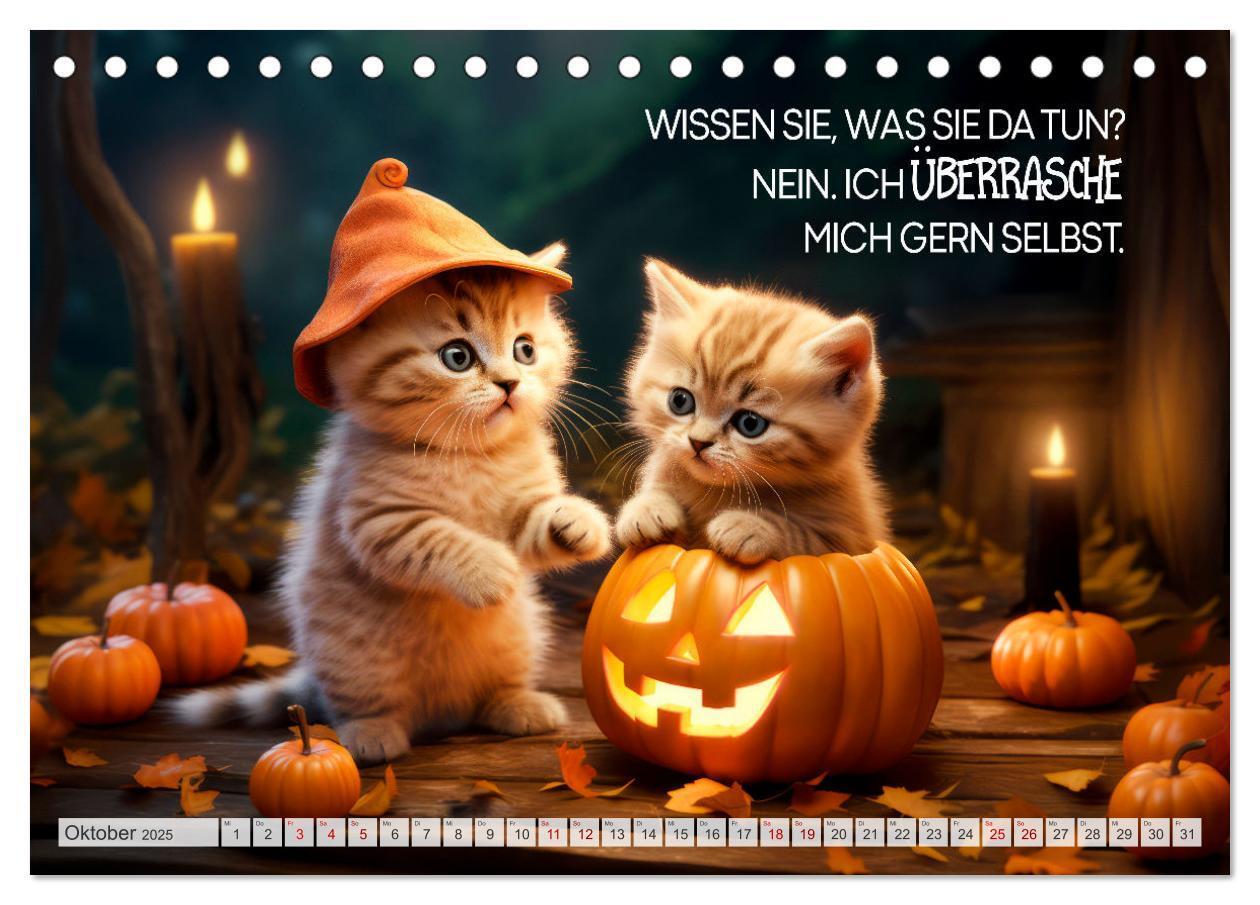 Bild: 9783383773518 | Süße Katzen und coole Sprüche (Tischkalender 2025 DIN A5 quer),...