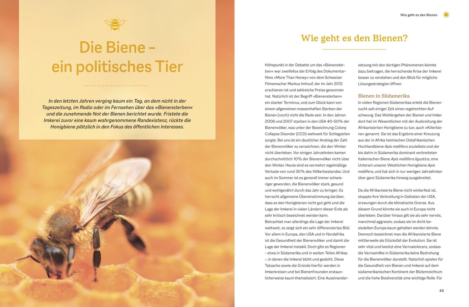 Bild: 9783835415447 | Bienengemäß imkern | Das Praxis-Handbuch | Günter Friedmann (u. a.)