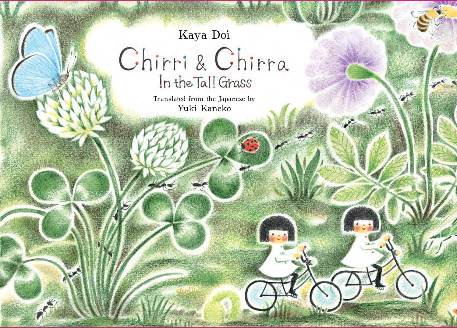 Cover: 9781592702251 | Chirri &amp; Chirra, in the Tall Grass | Volume 2 | Buch | Englisch | 2017