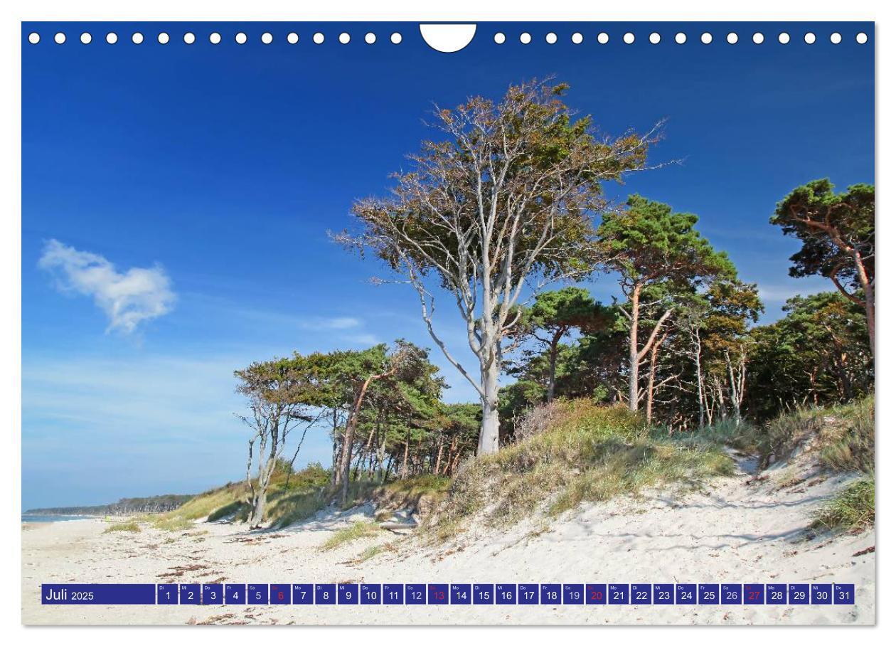 Bild: 9783435782390 | Weststrand Darß (Wandkalender 2025 DIN A4 quer), CALVENDO...