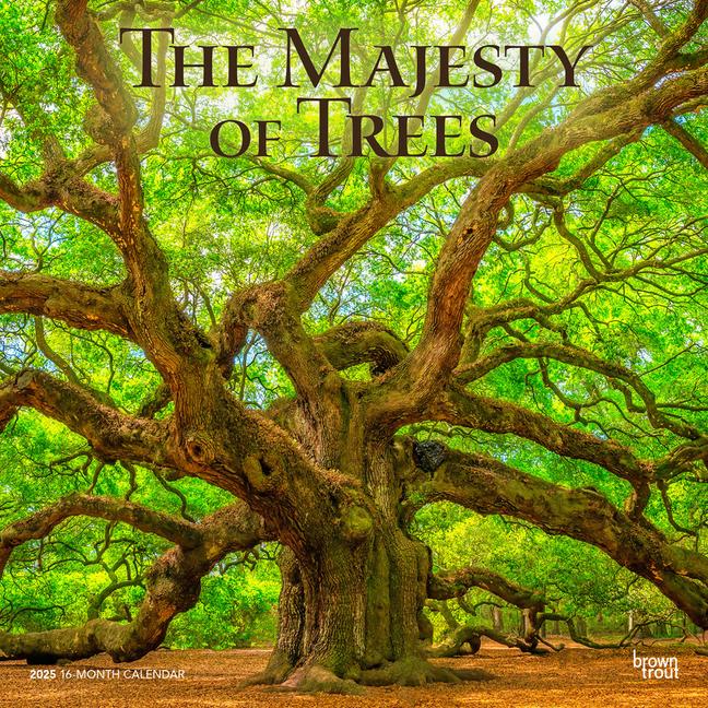 Cover: 9781975477394 | The Majesty of Trees 2025 12 X 24 Inch Monthly Square Wall Calendar...