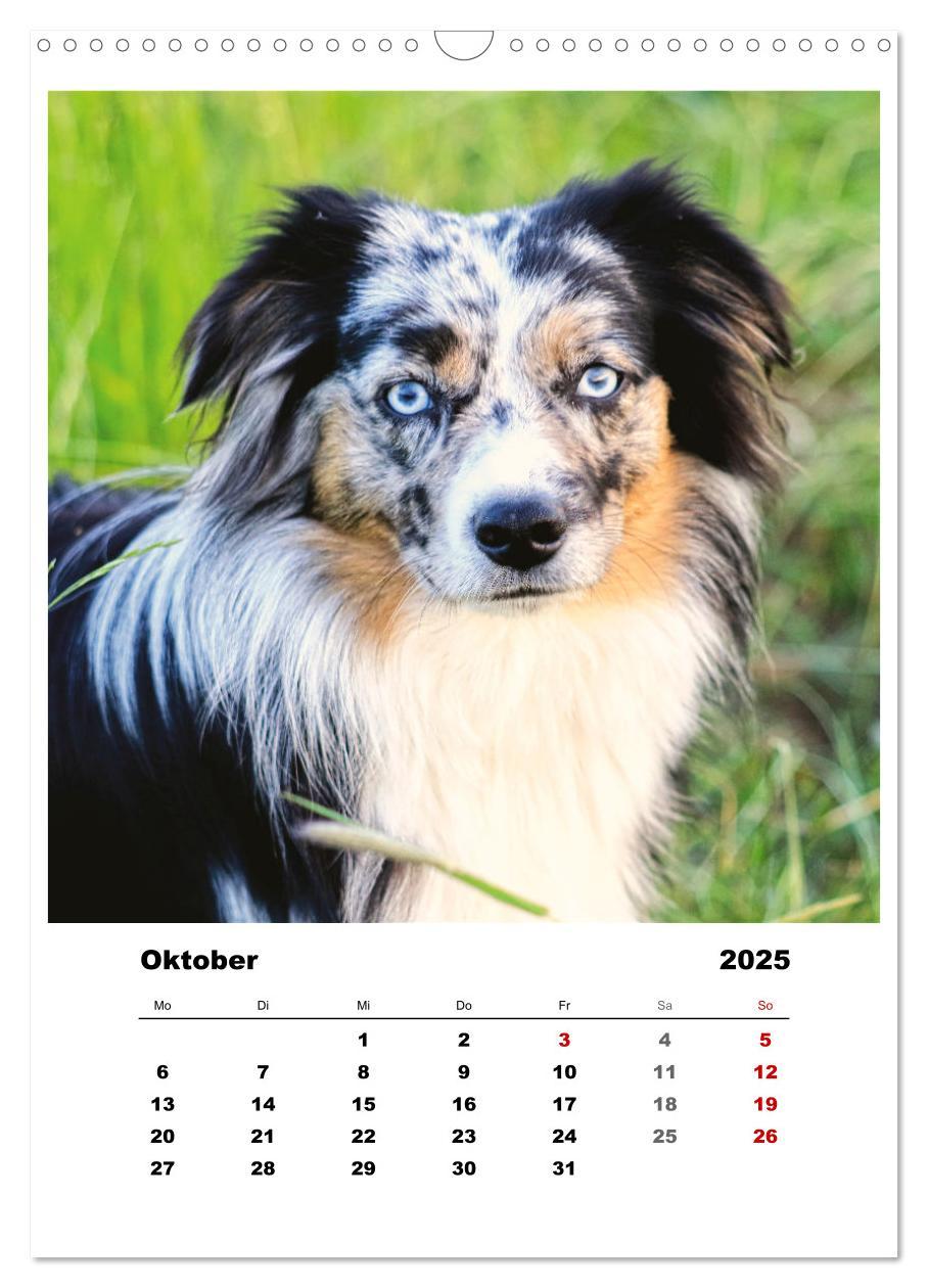 Bild: 9783435927937 | Bauernhoftiere, ganz nah dran (Wandkalender 2025 DIN A3 hoch),...