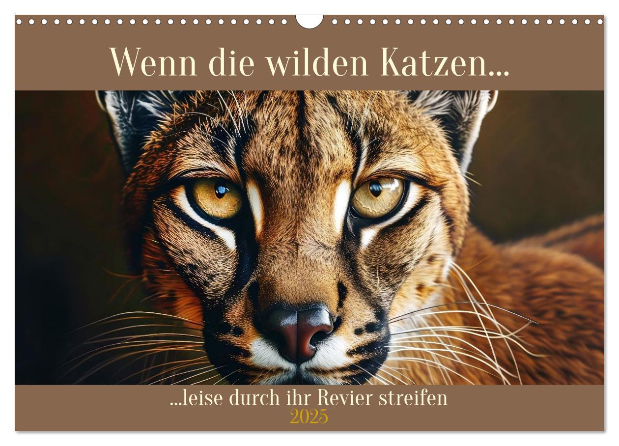 Cover: 9783383967689 | Wenn die wilden Katzen leise durch ihr Revier streifen...