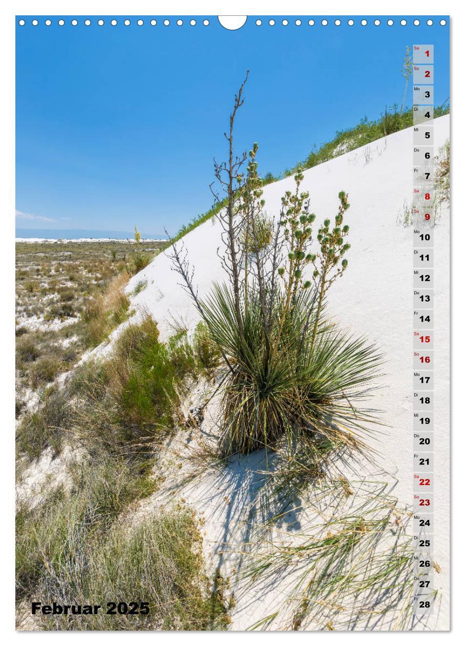 Bild: 9783435962471 | WHITE SANDS NATIONAL MONUMENT Wüstenimpressionen (Wandkalender 2025...