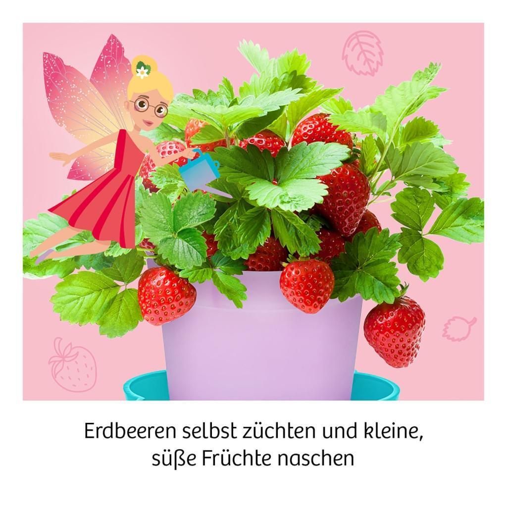 Bild: 4002051657819 | Feen-Erdbeeren | Experimentierkasten | Spiel | Deutsch | 2020 | Kosmos