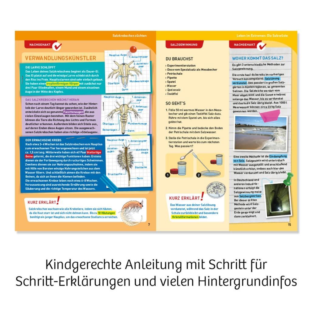 Bild: 4002051633264 | Salzkrebse | Experimentierkasten | Spiel | Brettspiel | Deutsch | 2019