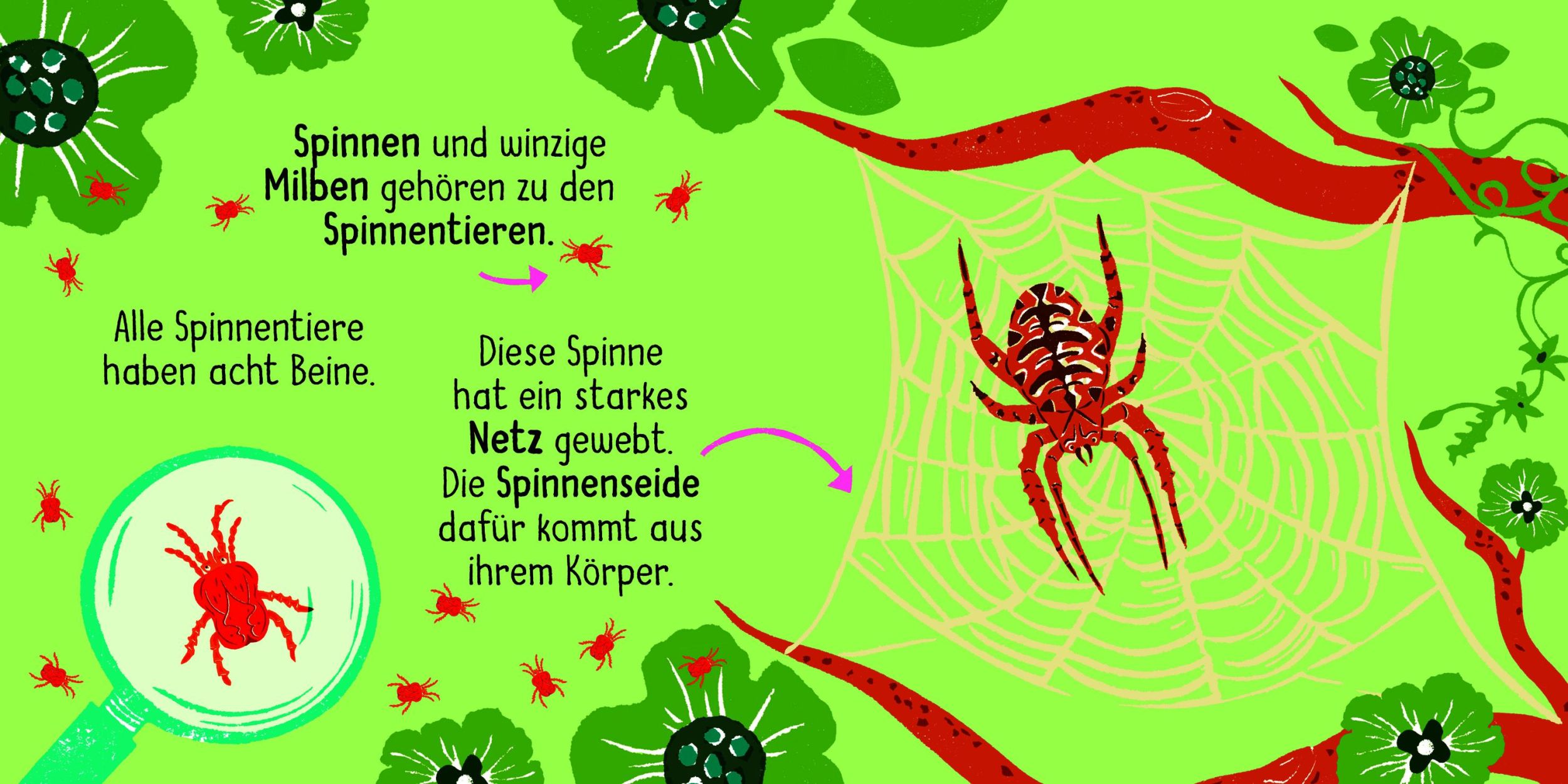 Bild: 9783411722280 | 50 Wörter über die Natur - Insekten | Lily Holland | Buch | 32 S.