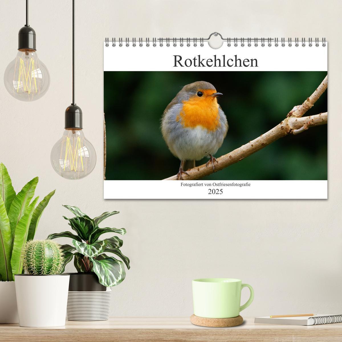 Bild: 9783435026722 | Rotkehlchen - Fotografiert von Ostfriesenfotografie (Wandkalender...