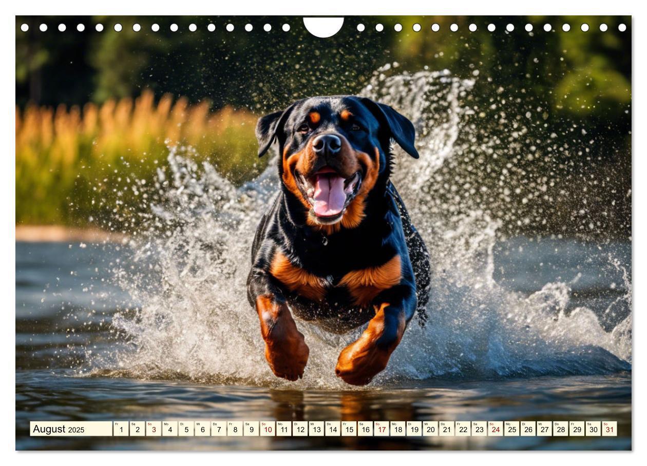 Bild: 9783457128633 | Rottweiler - die Beschützer (Wandkalender 2025 DIN A4 quer),...