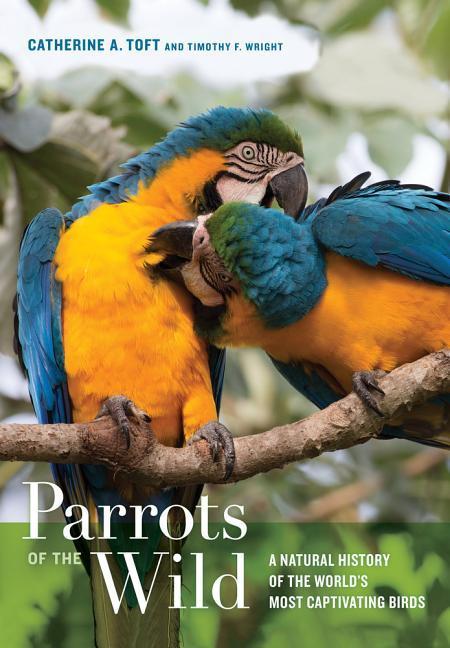 Cover: 9780520239258 | Parrots of the Wild | Catherine A Toft (u. a.) | Buch | Gebunden