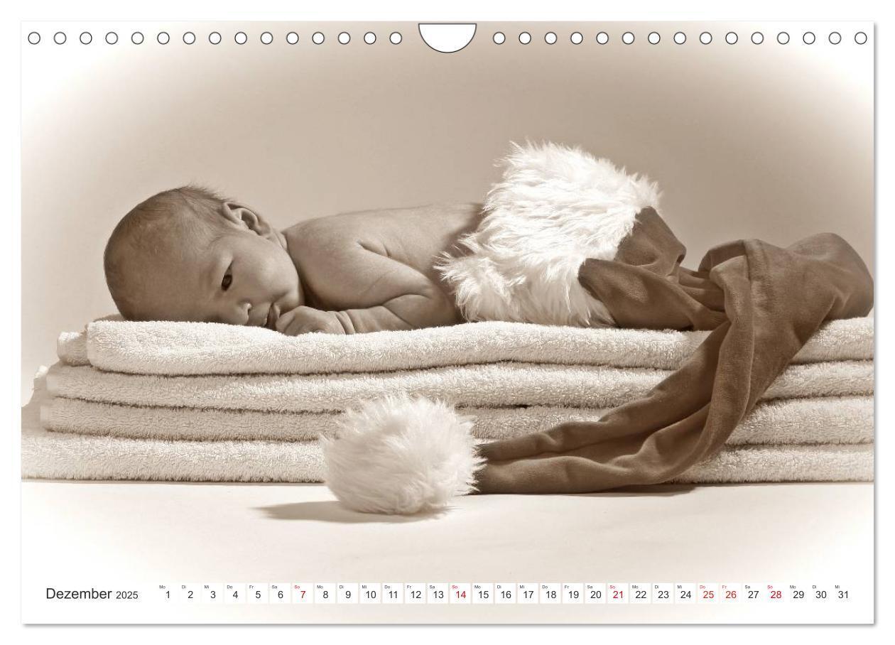 Bild: 9783435707362 | Babys - Willkommen im Leben (Wandkalender 2025 DIN A4 quer),...