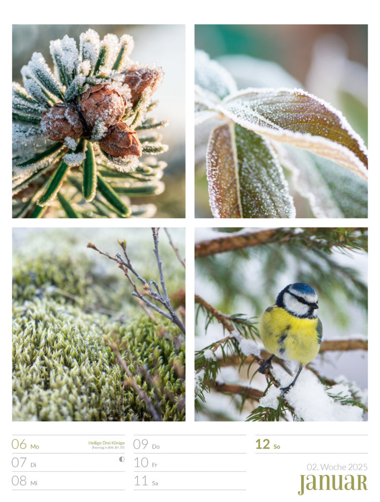 Bild: 9783838425818 | Farben der Natur - Wochenplaner Kalender 2025 | Ackermann Kunstverlag