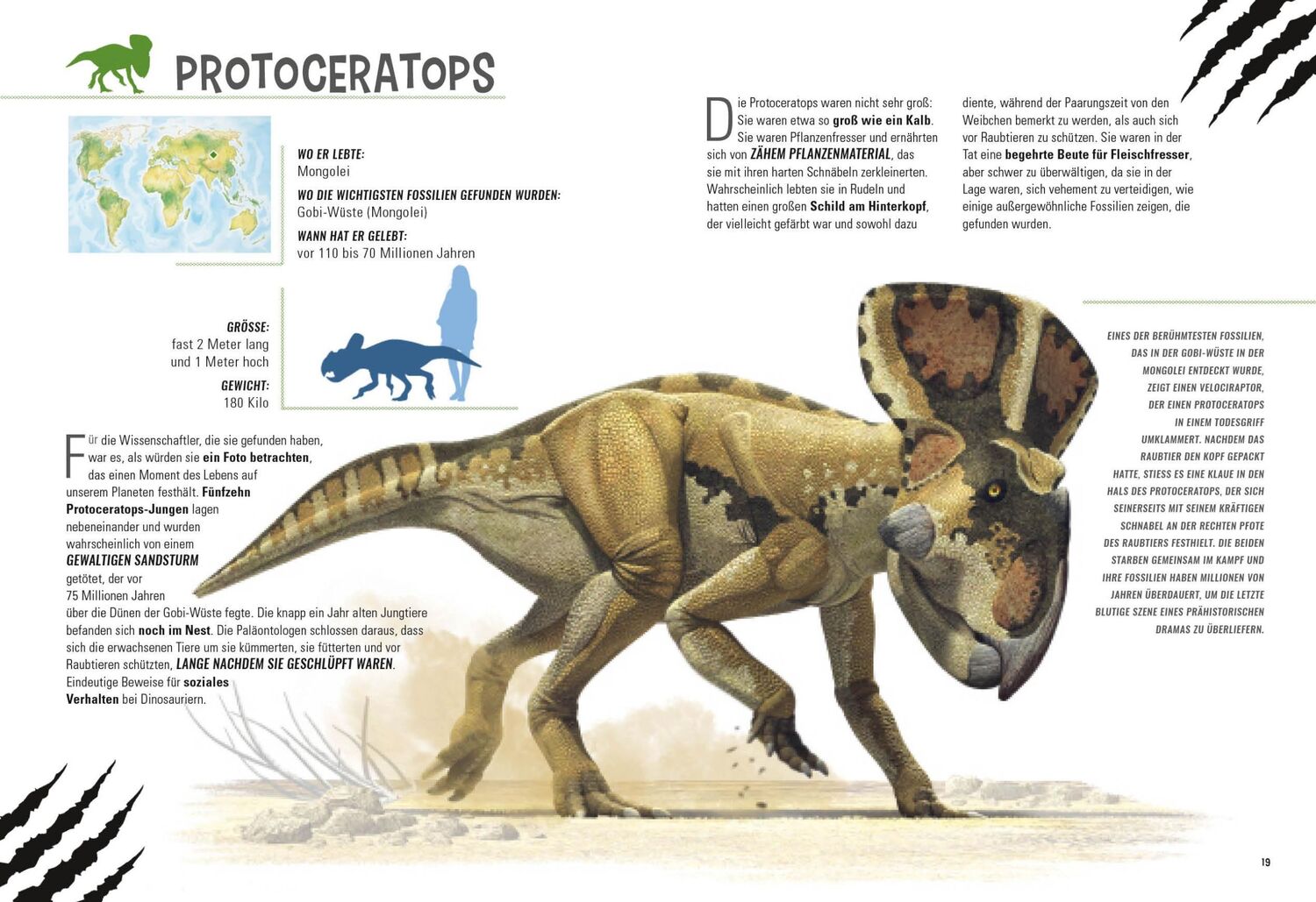 Bild: 9788863125382 | Gepanzerte Dinosaurier | National Geographic Kids | Tper | Buch | 2022