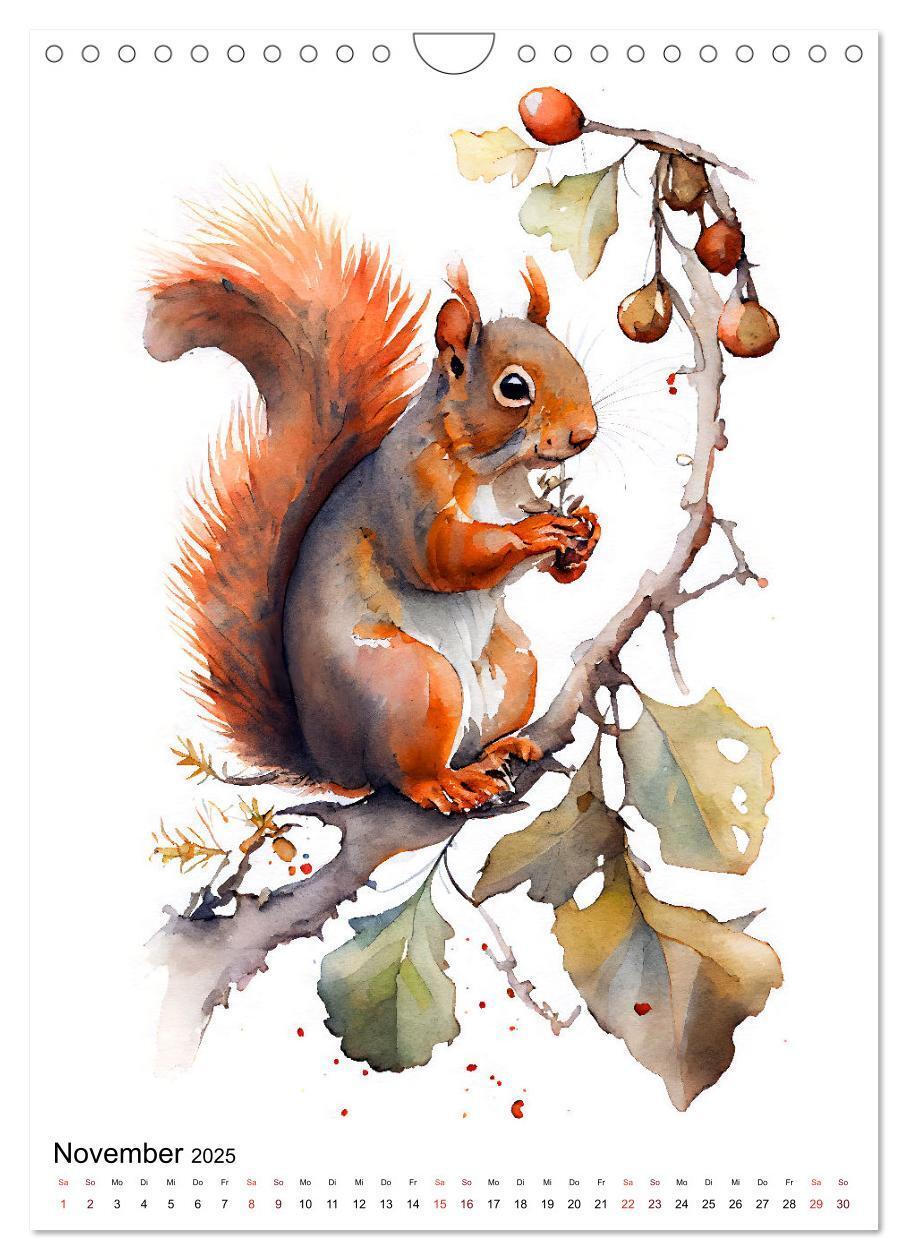 Bild: 9783435884469 | Waldtiere in Aquarell - Heimische Tierarten (Wandkalender 2025 DIN...