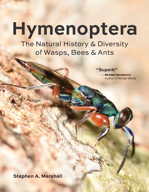 Cover: 9780228103714 | Hymenoptera | Stephen A Marshall | Buch | Gebunden | 2023