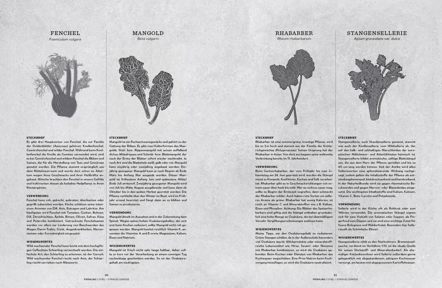 Bild: 9783960936855 | Echt vegetarisch - Das Standardwerk | Grundlagen, Praxis, Rezepte