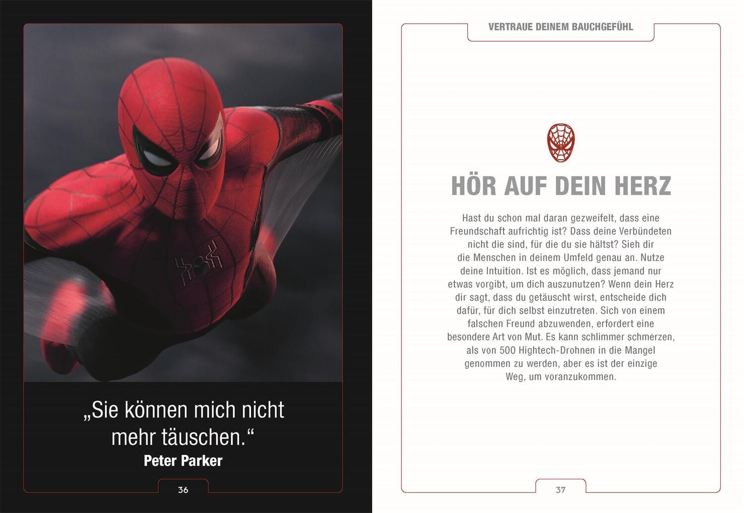 Bild: 9783831045983 | MARVEL Studios Entdecke den Spider-Man in dir | Kelly Knox | Buch