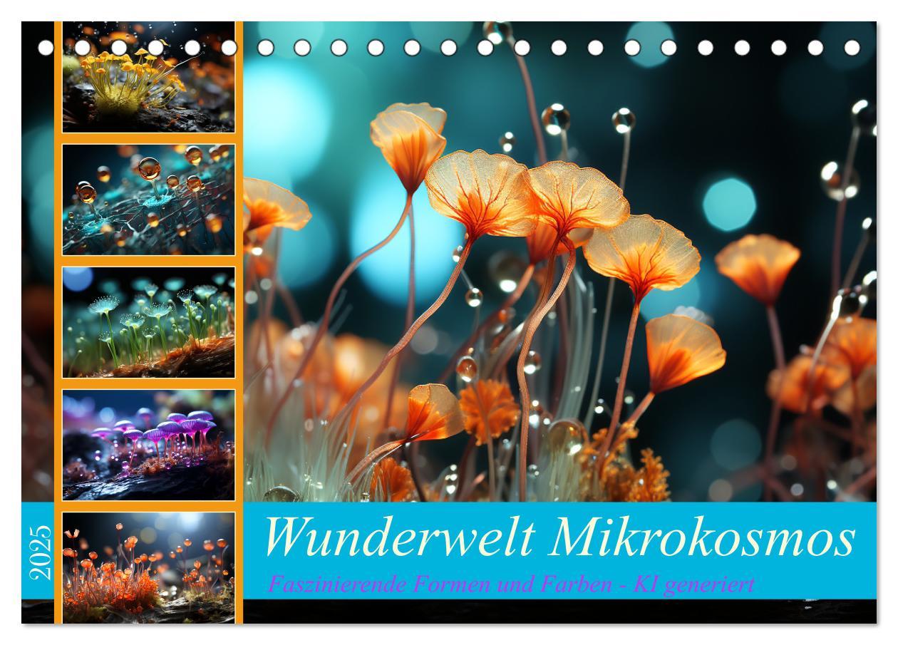 Cover: 9783383870941 | Wunderwelt Mikrokosmos (Tischkalender 2025 DIN A5 quer), CALVENDO...