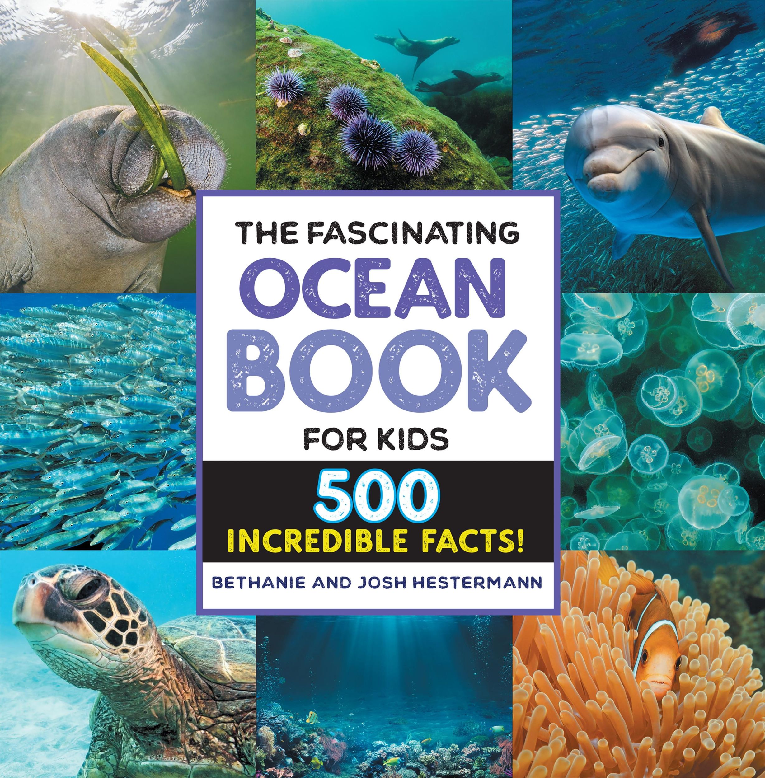 Cover: 9781648768842 | The Fascinating Ocean Book for Kids | 500 Incredible Facts! | Buch