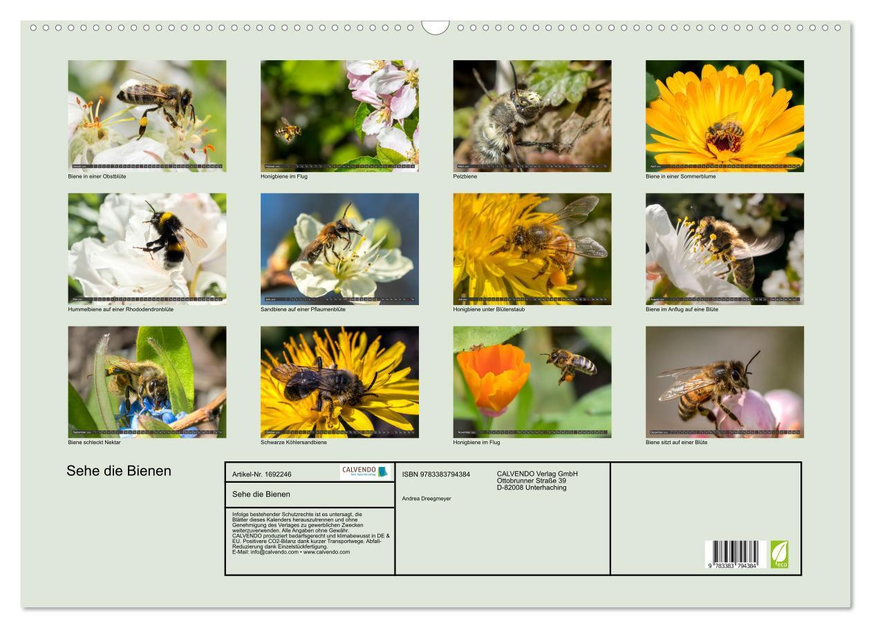 Bild: 9783383794384 | Sehe die Bienen (Wandkalender 2025 DIN A2 quer), CALVENDO...