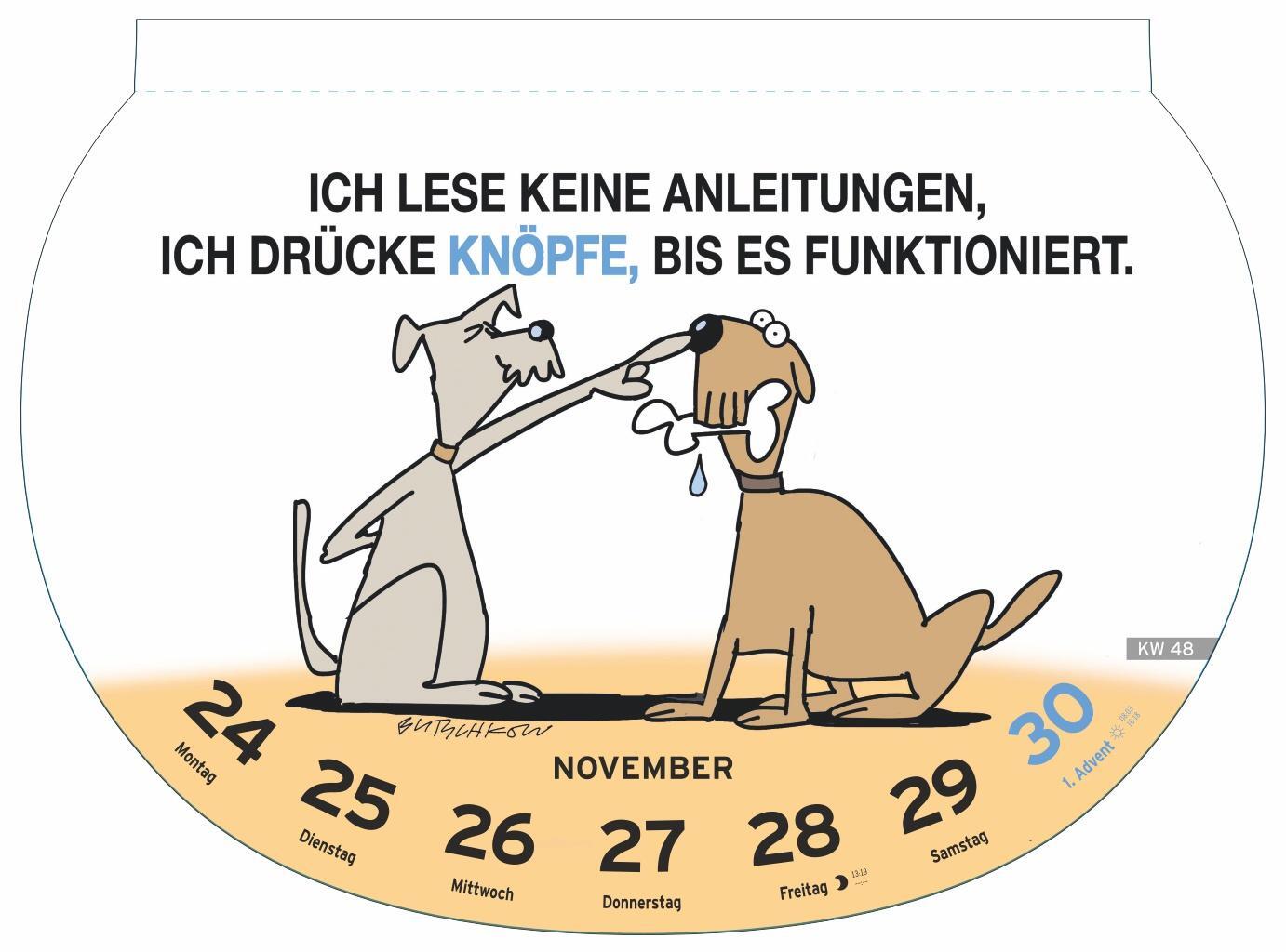 Bild: 9783756405633 | Dumme Sprüche Kalender 2025 - Für Gescheite! | Heye | Kalender | 57 S.