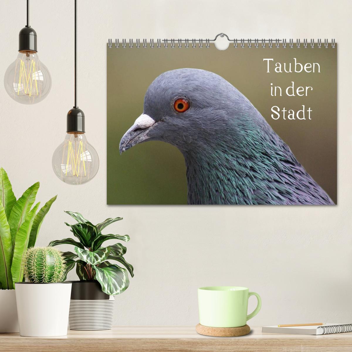 Bild: 9783435816200 | Tauben in der Stadt (Wandkalender 2025 DIN A4 quer), CALVENDO...