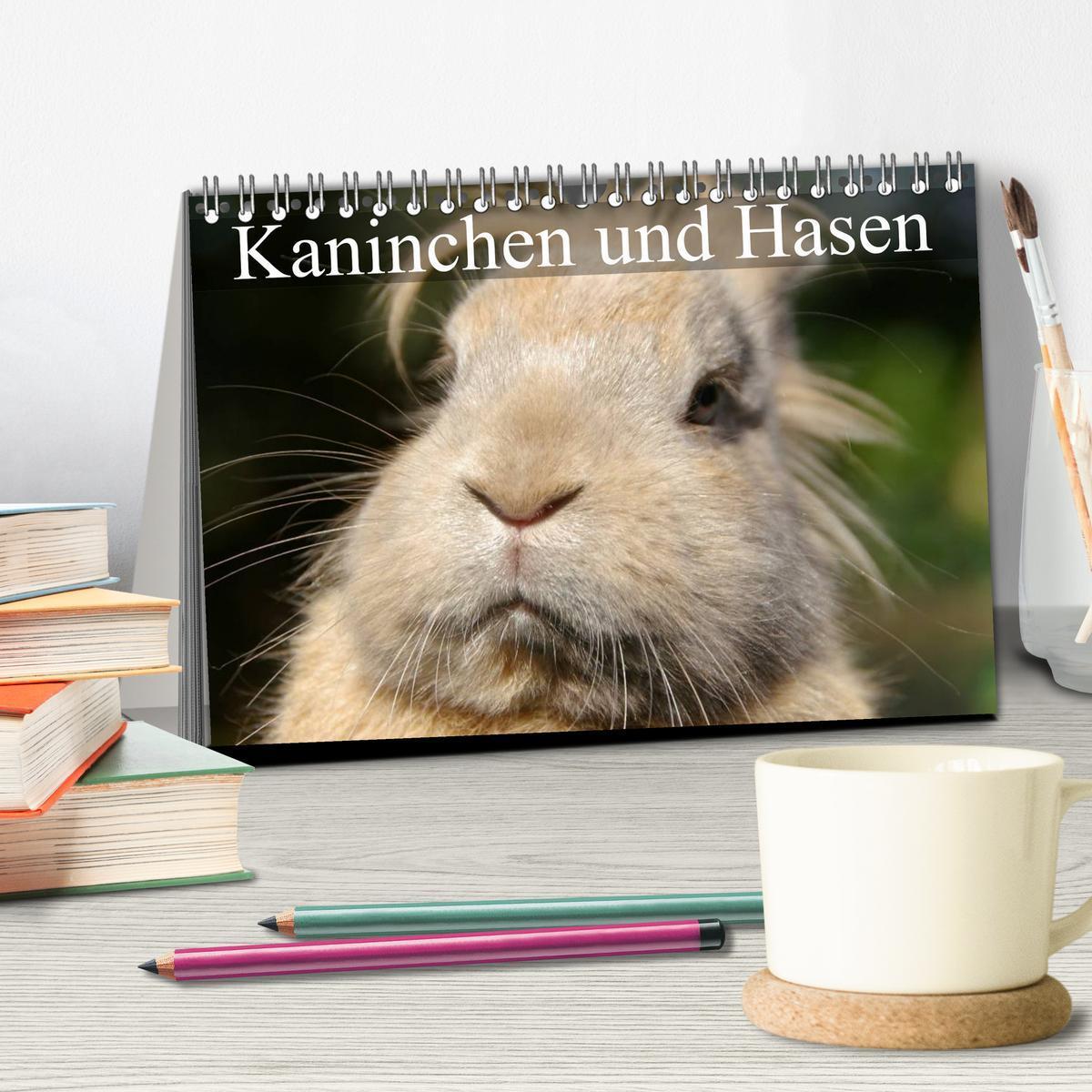 Bild: 9783435736690 | Kaninchen und Hasen (Tischkalender 2025 DIN A5 quer), CALVENDO...