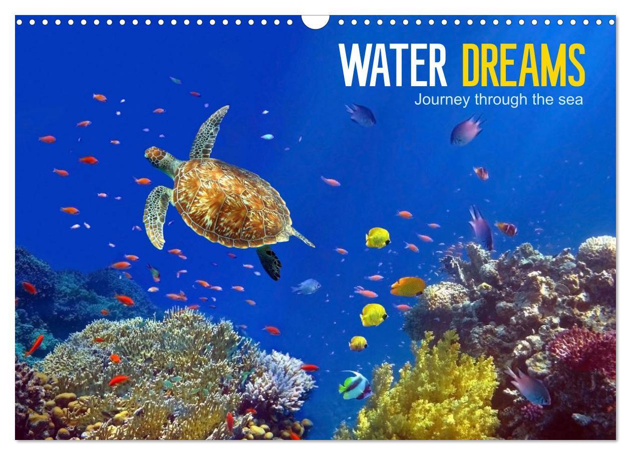 Cover: 9781325959273 | Water Dreams-journey through the sea (Wall Calendar 2025 DIN A3...