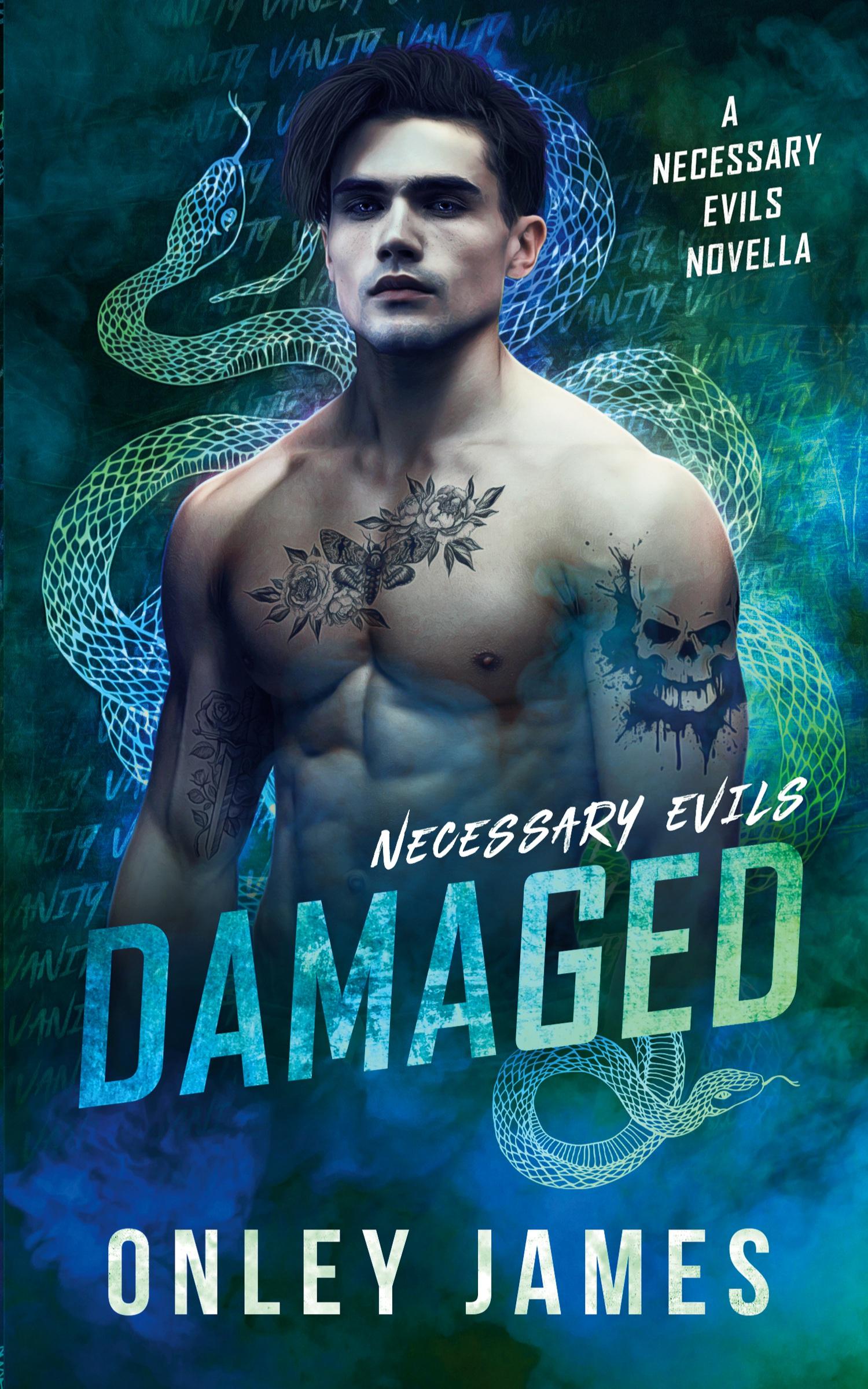 Cover: 9798887224404 | Damaged | A Necessary Evils Novella | Onley James | Taschenbuch | 2023