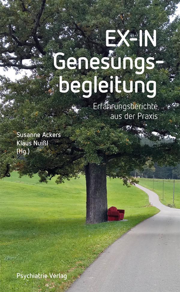 Cover: 9783966050760 | EX-IN Genesungsbegleitung | Erfahrungsberichte aus der Praxis | Buch