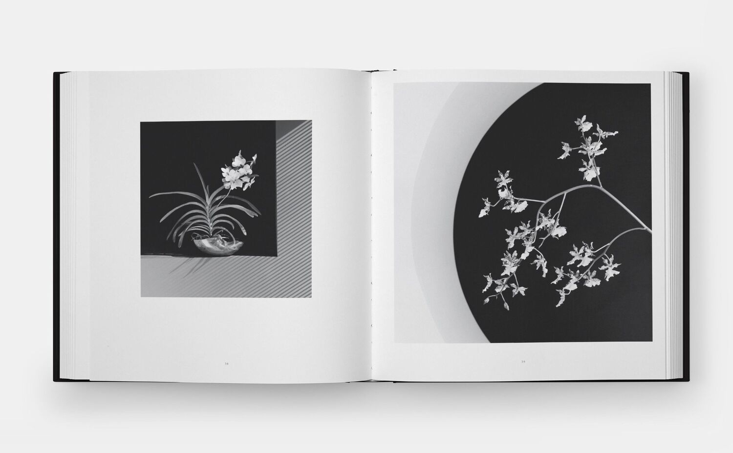 Bild: 9781838668211 | Mapplethorpe Flora | The Complete Flowers | Mapplethorpe (u. a.)