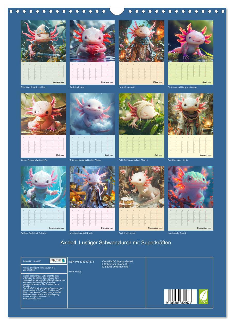 Bild: 9783383807671 | Axolotl. Lustiger Schwanzlurch mit Superkräften (Wandkalender 2025...