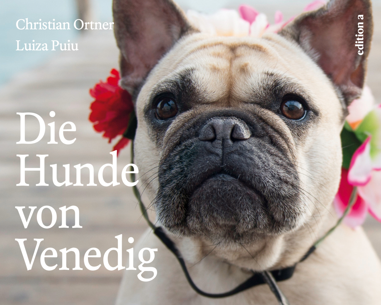 Cover: 9783990011690 | Die Hunde von Venedig | Christian Ortner (u. a.) | Buch | 2016