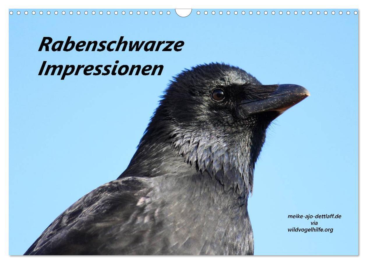 Cover: 9783435540563 | Rabenschwarze Impressionen - meike-ajo-dettlaff.de via...