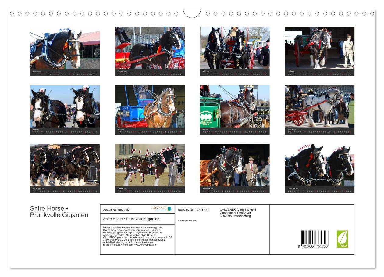 Bild: 9783435761708 | Shire Horse ¿ Prunkvolle Giganten (Wandkalender 2025 DIN A3 quer),...