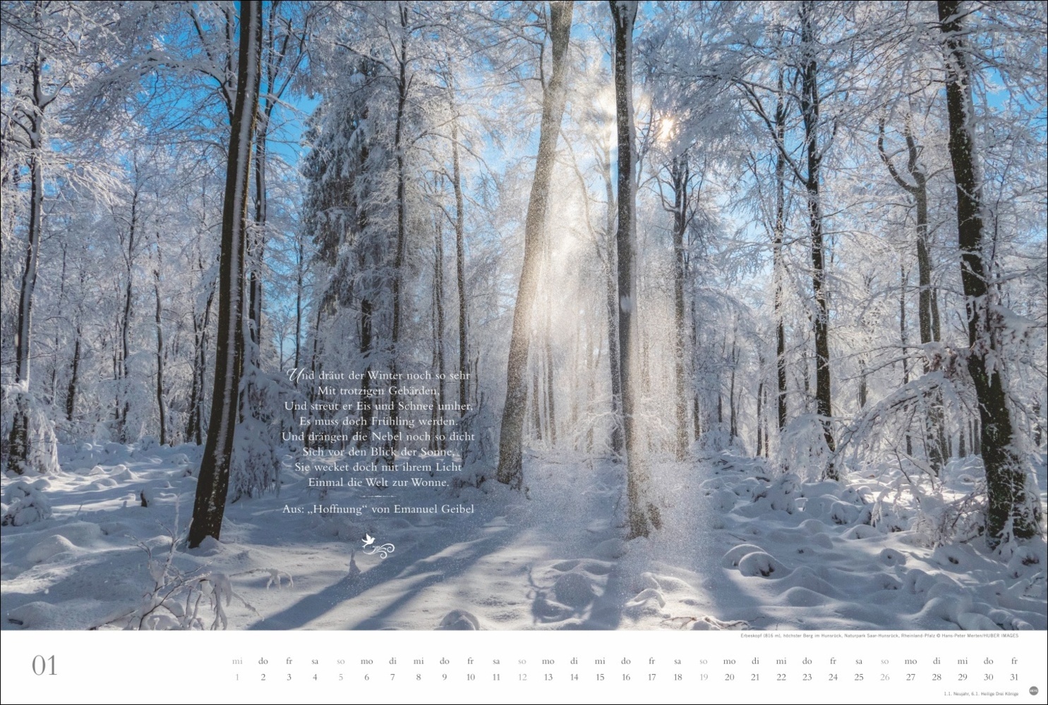 Bild: 9783756404803 | Der deutsche Wald - Ein literarischer Spaziergang Kalender 2025 -...