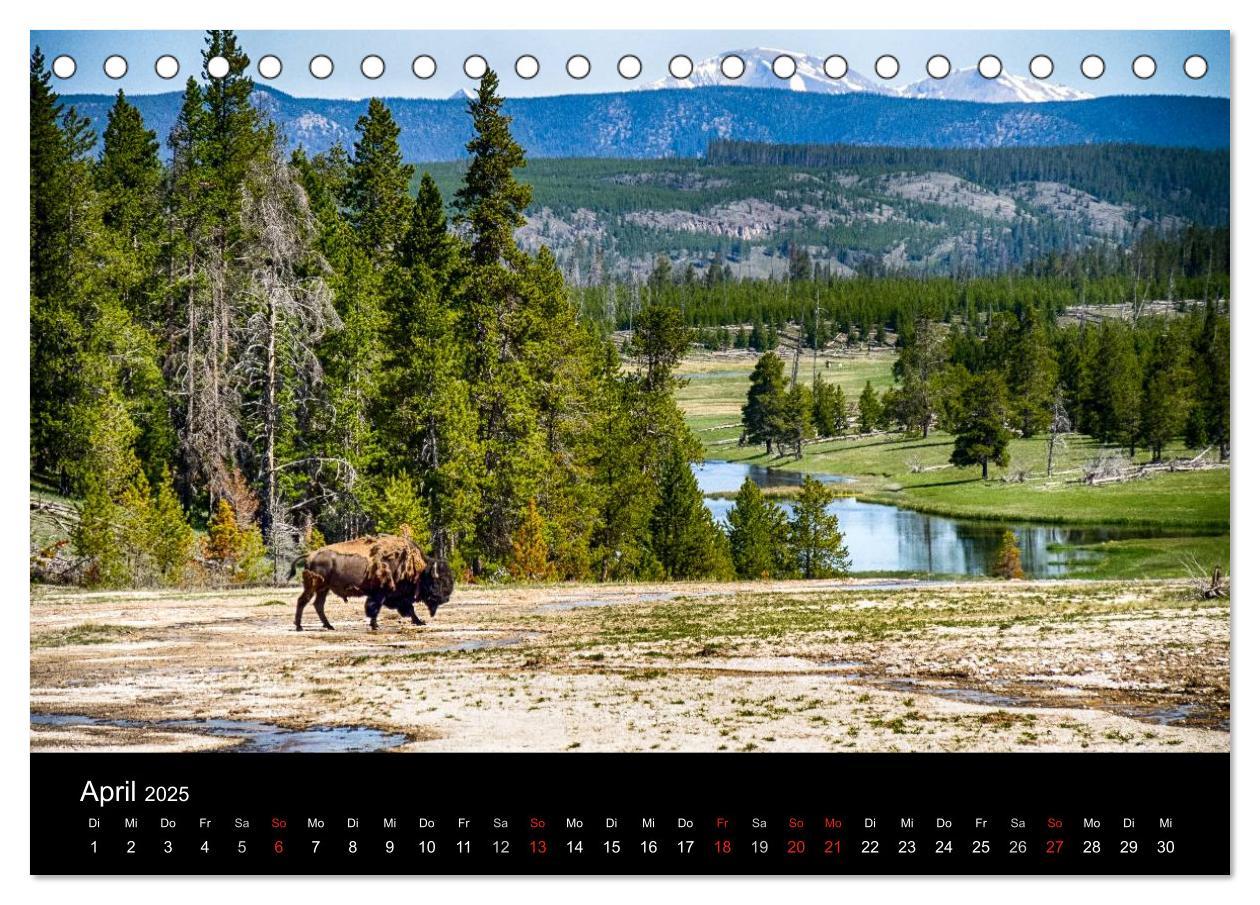 Bild: 9783435663101 | Traumziele in den USA. Der Yellowstone National Park (Tischkalender...