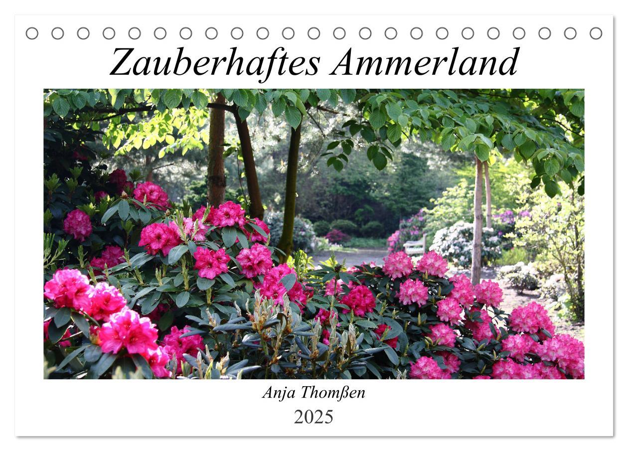 Cover: 9783435077489 | Zauberhaftes Ammerland (Tischkalender 2025 DIN A5 quer), CALVENDO...