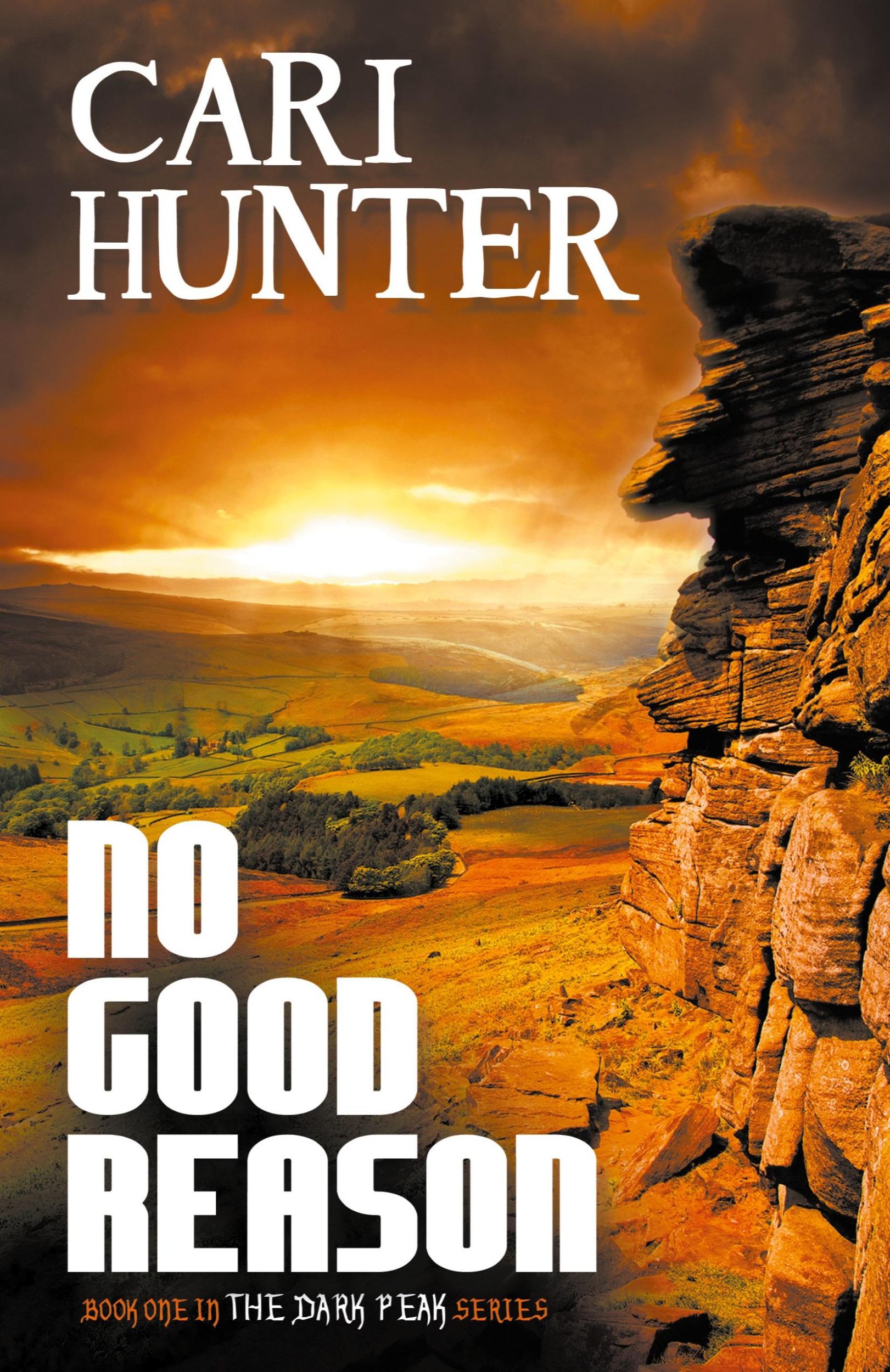 Cover: 9781626393523 | No Good Reason | Cari Hunter | Taschenbuch | Englisch | 2015