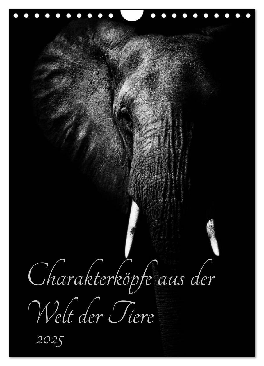 Cover: 9783457013533 | Charakterköpfe aus der Welt der Tiere (Wandkalender 2025 DIN A4...