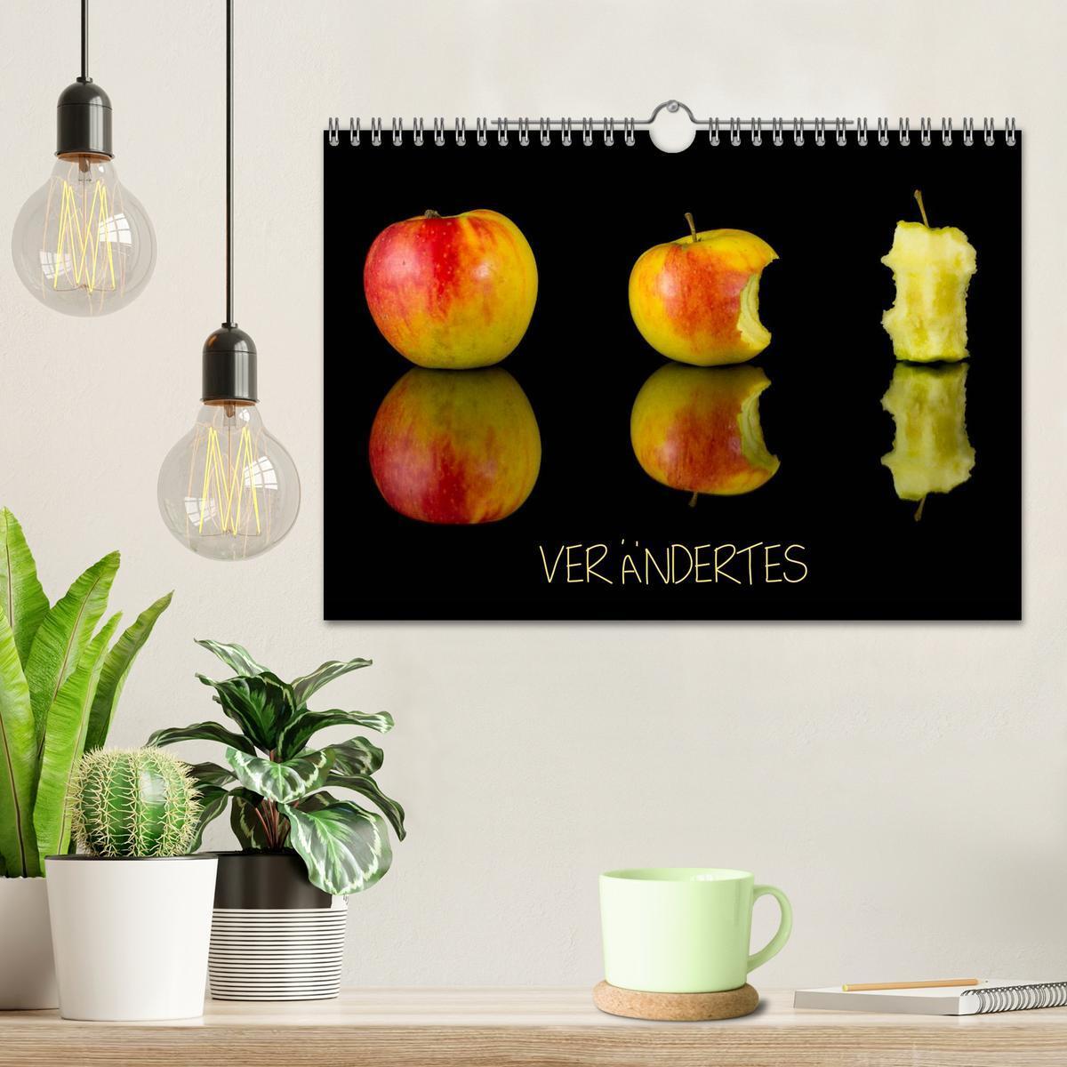 Bild: 9783435731725 | Verändertes (Wandkalender 2025 DIN A4 quer), CALVENDO Monatskalender