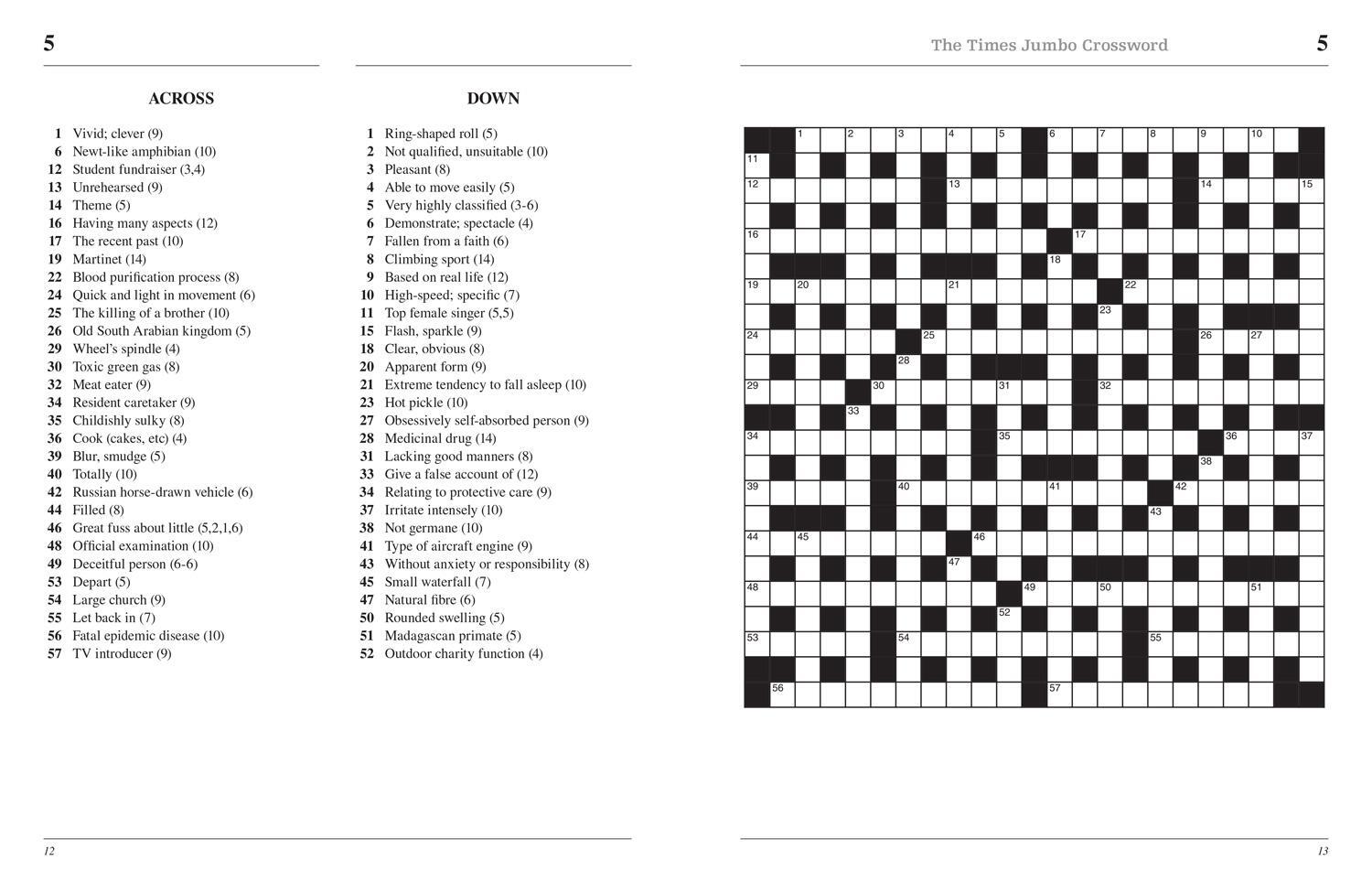 Bild: 9780008472733 | The Times 2 Jumbo Crossword Book 17 | John Grimshaw (u. a.) | Buch