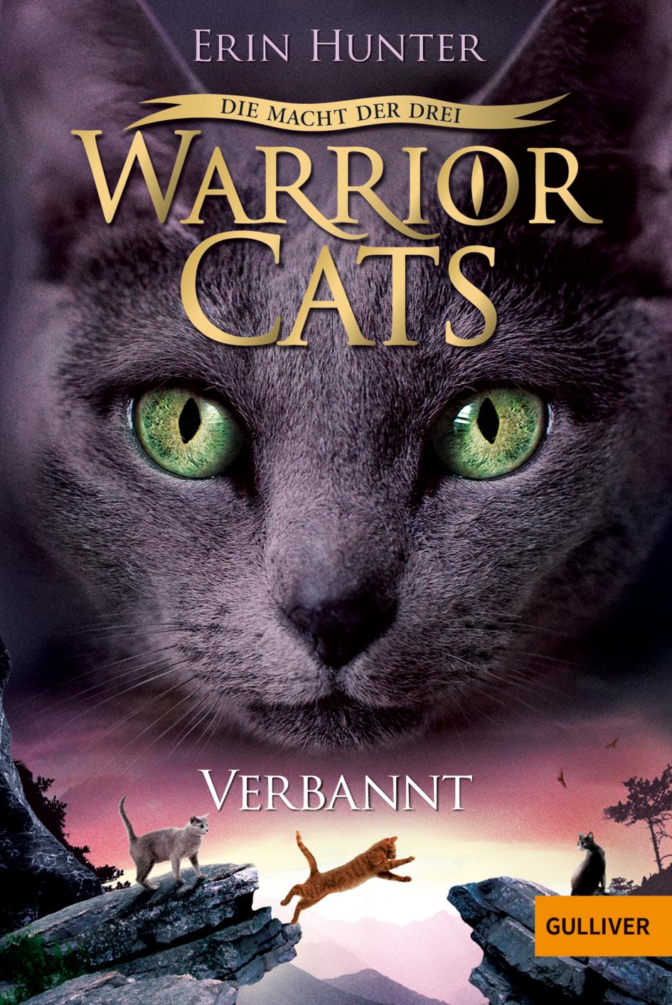 Cover: 9783407747419 | Warrior Cats Staffel 3/03. Die Macht der Drei. Verbannt | Erin Hunter