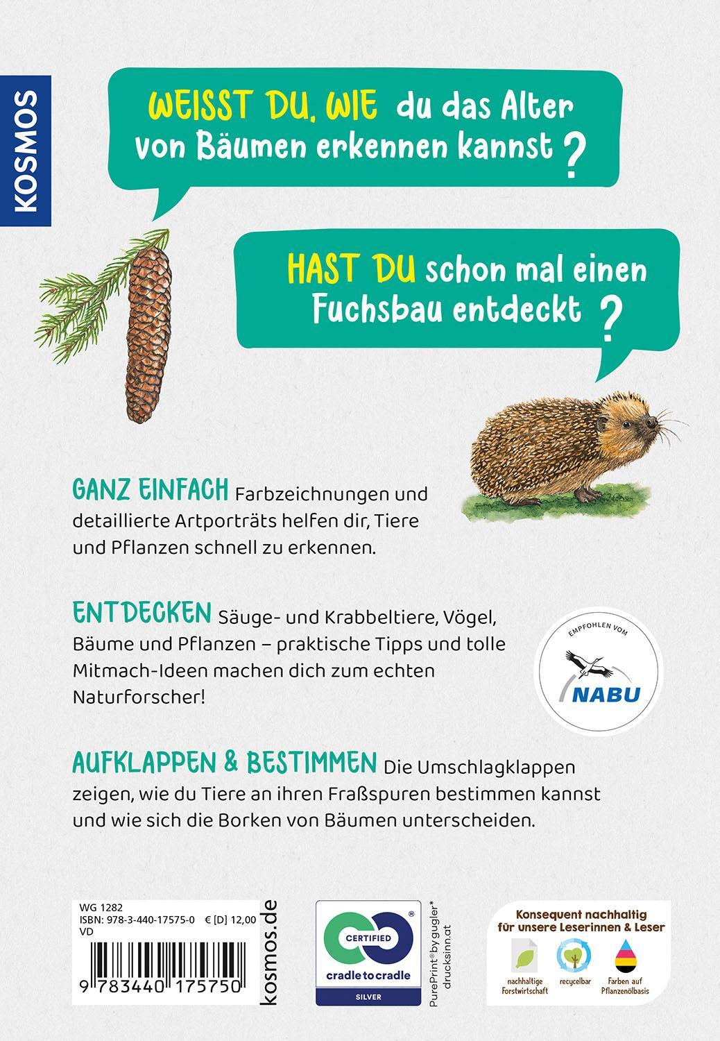 Bild: 9783440175750 | Was lebt im Wald? Kindernaturführer | Holger Haag | Taschenbuch | 2024